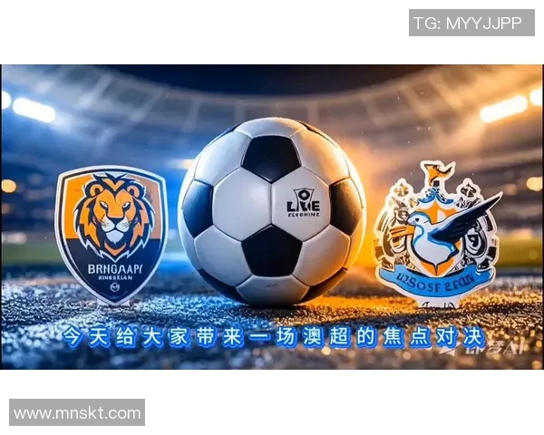 今日焦点战：总决赛对决即将打响