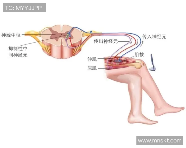 现代田径跳远起跳角度与成绩之间的线性关系分析研究